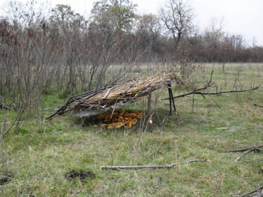Хранилишта за дивеч