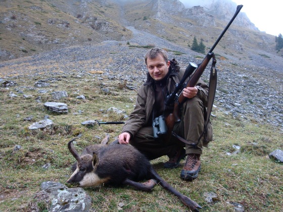 Дивокоза Rupicapra rupicapra